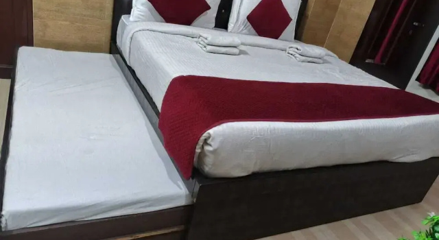 Hotel Ravi BR group of Hotels Jaipur