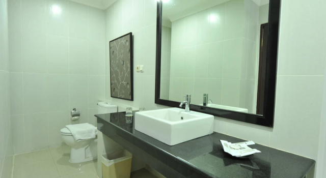 Deluxe Dvoulůžkový s manželskou postelí pokoj Palace Hotel