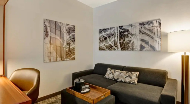 Двухместная студия SpringHill Suites by Marriott Cincinnati Midtown
