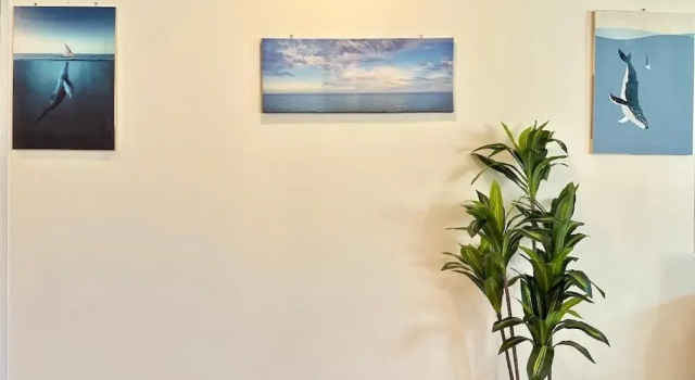 จิมเบ โคซี่เทล เขาหลัก Zimbei Cozytel Khaolak, Забронировать Хостел Кхаулак 