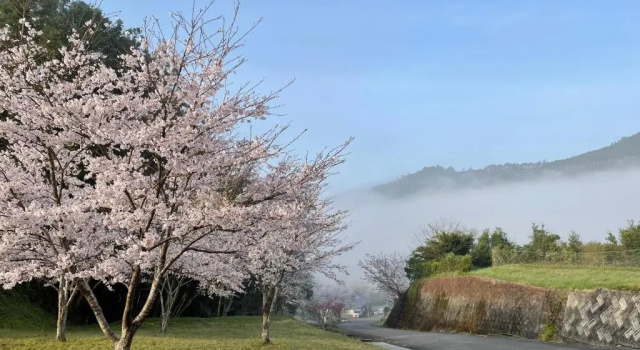 Коттедж KUMANOYASAI BASE in Chikatsuyu
