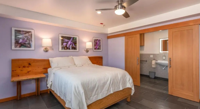 Двухместный номер Standard Wildflower Boutique Motel