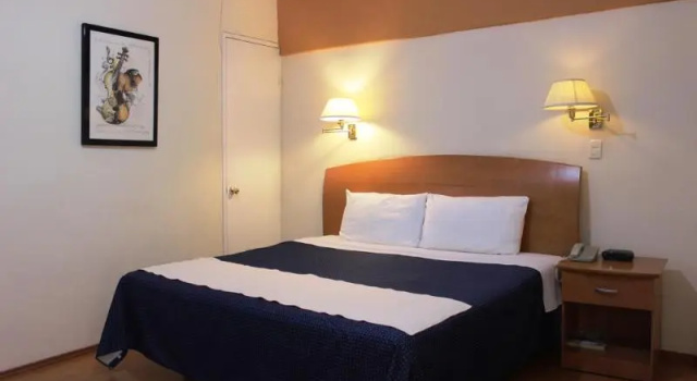 Двухместный номер Standard Hotel Florencia Regency
