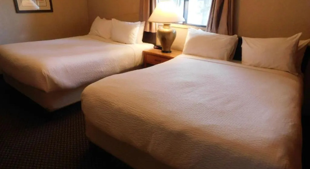 Апартаменты c 1 комнатой Douglas Fir Resort & Chalets