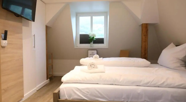 Номер Economy Pension Moselvilla 1900