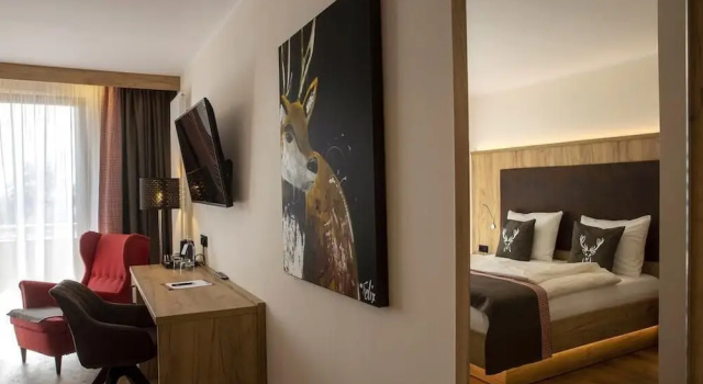 Номер Deluxe Steig-Alm Hotel Superior