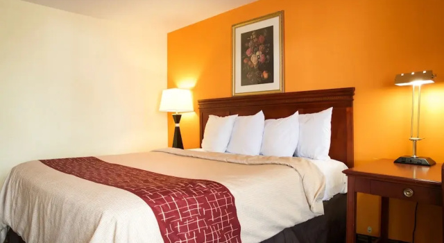 Номер Economy Highlander Motel