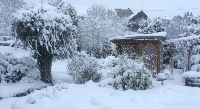 Коттедж Das Pautzen Haus