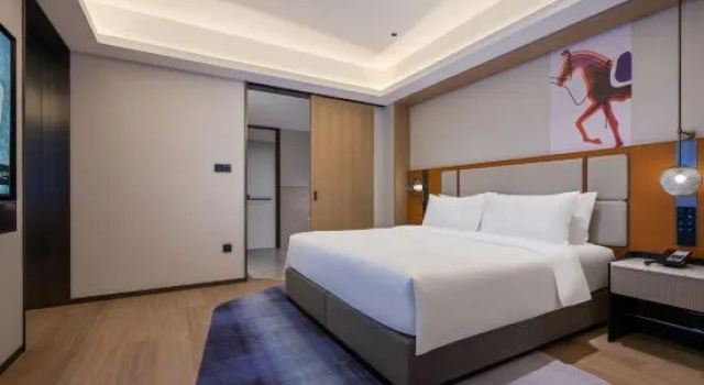 Двухместный люкс Executive Novotel Shanghai Hongqiao International Airport