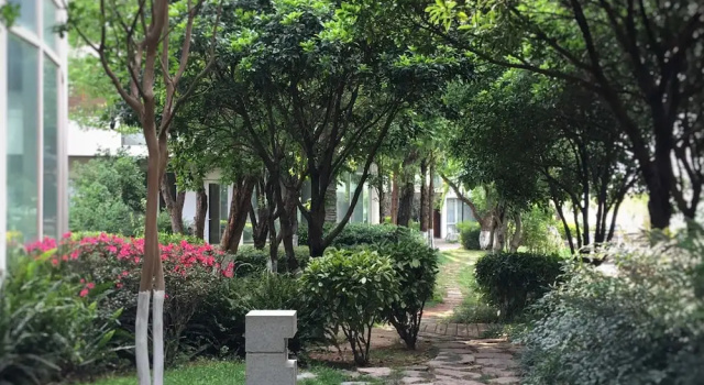 Вилла Yunjvhaijing Dali Hotel