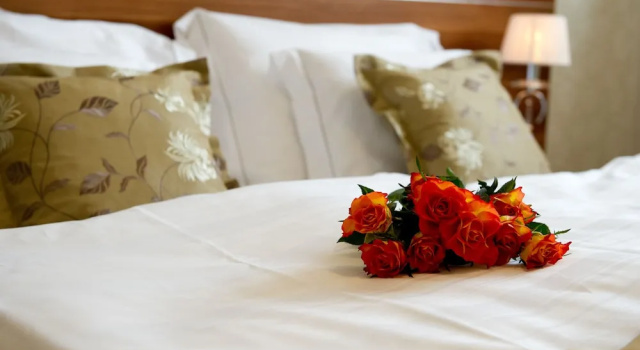 Номер Standard Wellness hotel Spark