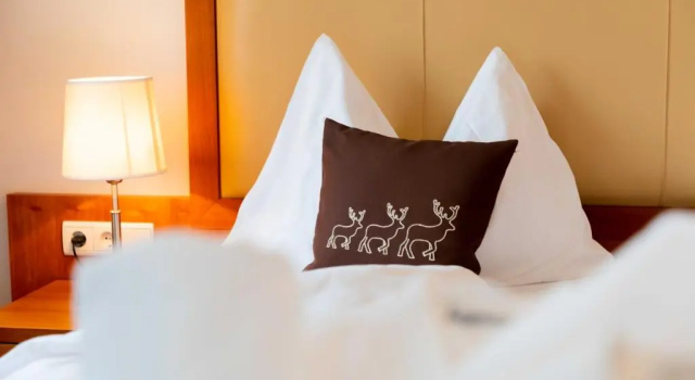 Двухместный номер Standard Hotel Martinerhof