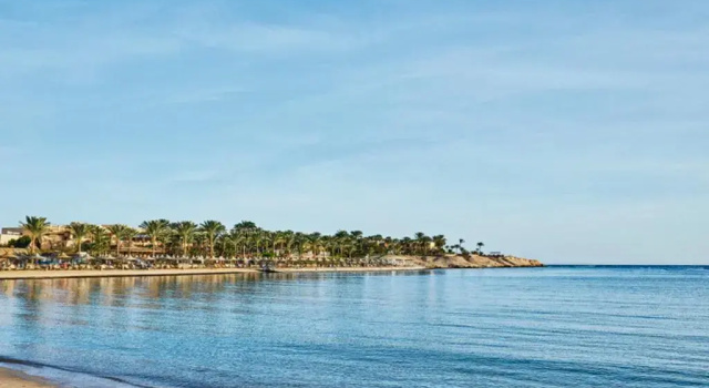 Двухместный номер Superior с видом на море Steigenberger Coraya Beach - Adults Friendly 16 Years Plus