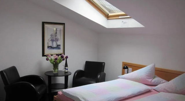 Двухместный номер Standard Hotel Anlage Heidelberg