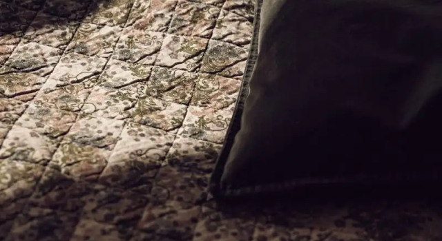 Superior dublă cameră 1 dormitor cu vedere la parc Hotel Arnbjerg