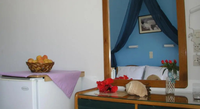 Двухместный номер Standard Hotel Helena