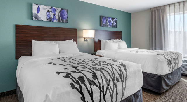 Четырёхместный номер Standard Sleep Inn Durango