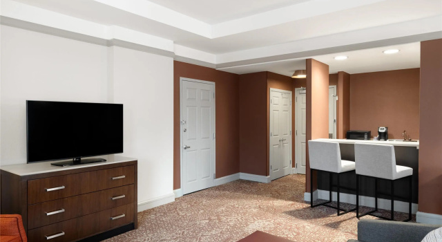 Двухместный полулюкс Hilton Garden Inn Chicago Downtown/Magnificent Mile
