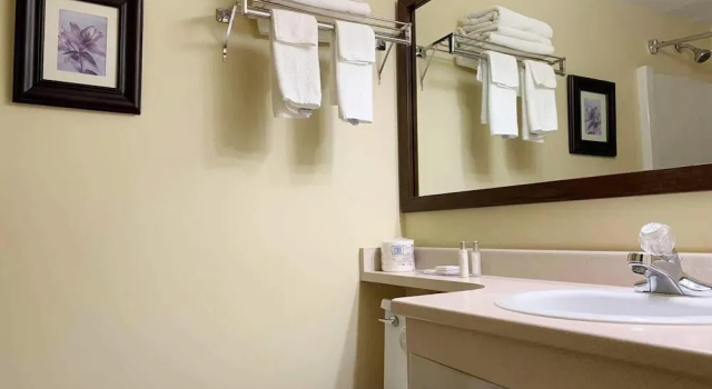 Номер Standard MountainView Hotel Merritt