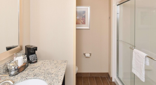 Четырёхместный номер Standard Hampton Inn & Suites Douglas