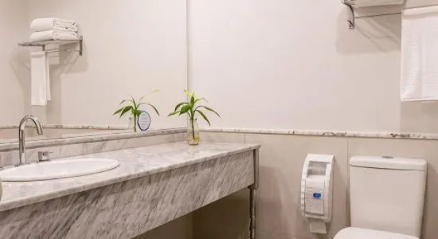 Номер Premium Intercity São Paulo Berrini
