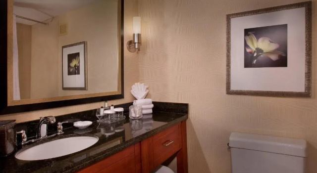 Номер Standard Embassy Suites by Hilton Greensboro Airport