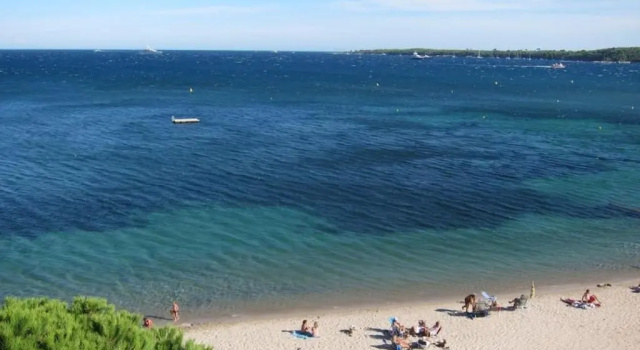 Апартаменты Deluxe Fettolina Palm Beach, Location Cannes front de mer et plage