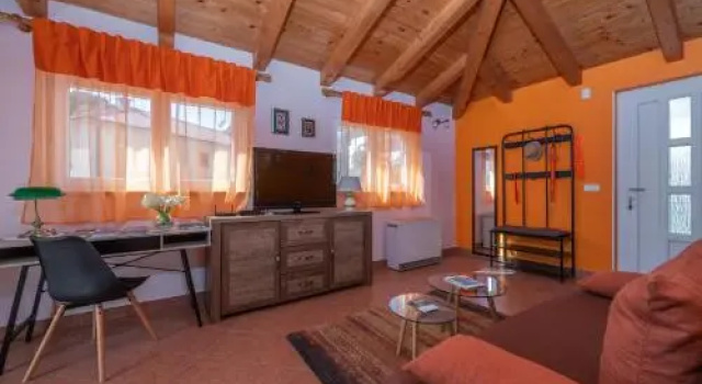 Apartment Orange 29
