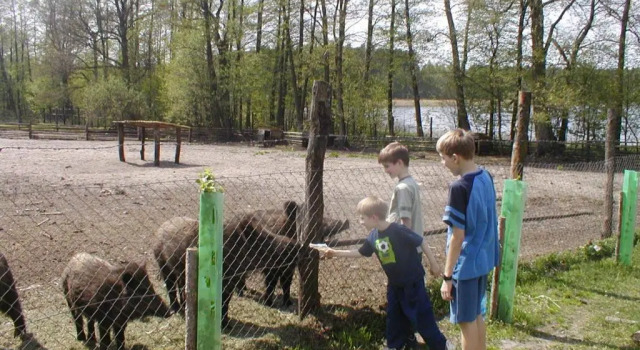 Шале Domek Bory Tucholskie