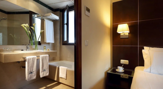 Номер Standard с красивым видом из окна Eurostars Plaza Acueducto
