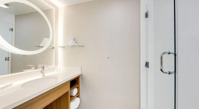 Двухместный люкс SpringHill Suites by Marriott Houston The Woodlands
