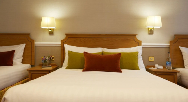 Семейный номер Standard Palm Court Hotel