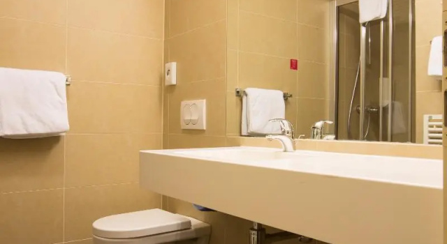 Двухместный номер Standard Hotel Sliško