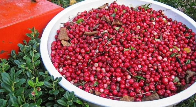 7 Person Holiday Home in Salen-by Traum, Book Feriehus Lima Sälen