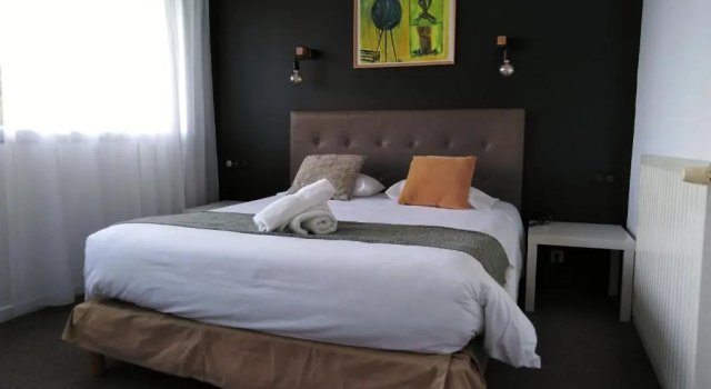 Двухместный номер Superior Hotel ASTORIA- Saint Etienne-Centre des Congrès-