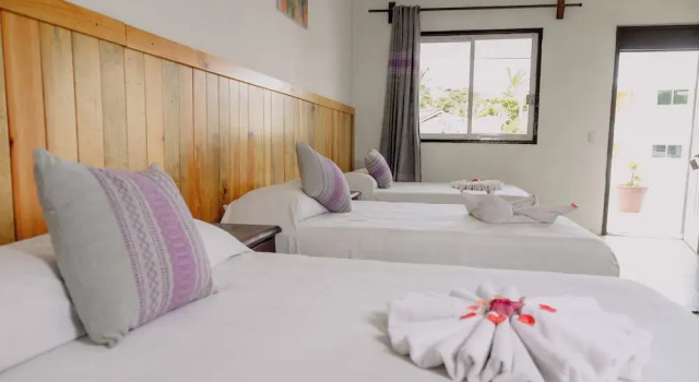 Трёхместный номер Standard с видом на бассейн Bungalows Zicatela