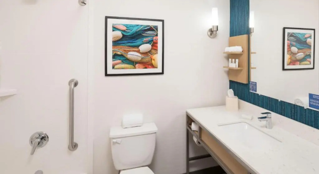 Номер Standard Hilton Garden Inn Sioux City Riverfront