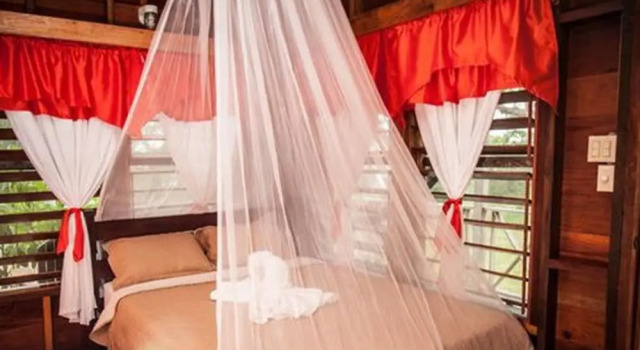 Hill Bank Field Station - Hostel, Забронировать Хостел Шипьярд Колони Белиз