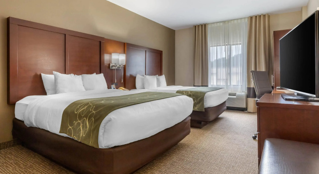Четырёхместный люкс Comfort Suites Johnson City near University