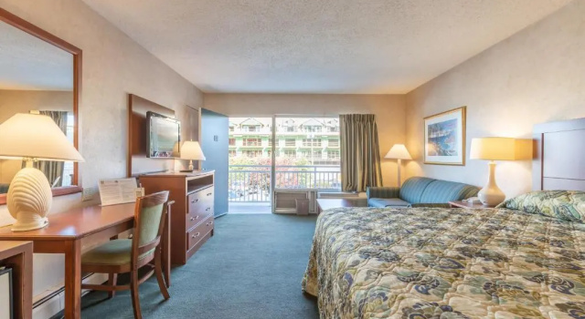 Двухместный номер Standard с видом на бассейн Impala Island Inn