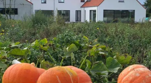 DOS22 Vakantiewoning I De Haan Wenduine