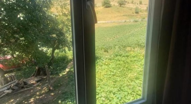 Maia's Guesthouse