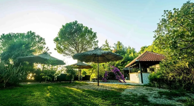 Вилла Villa Exotica