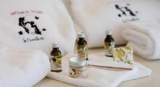 Номер Standard Château & Spa de la Cueillette