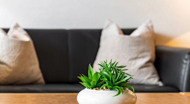 Apartment Plathner by Interhome, Забронировать Апартаменты/квартира Апартаменты Долины Гаштайн, Апартаменты/квартира