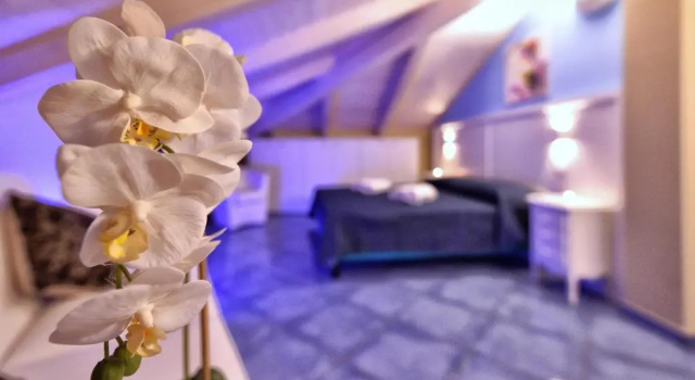 Полулюкс Residenza Vinci Room & Suite
