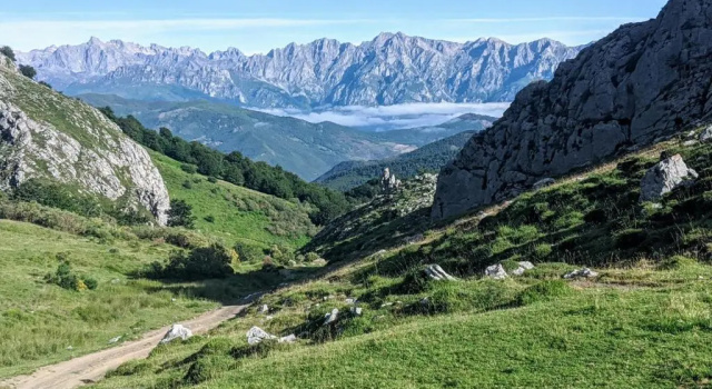 Апартаменты Apartamento Olmares Picos de Europa - 4 personas