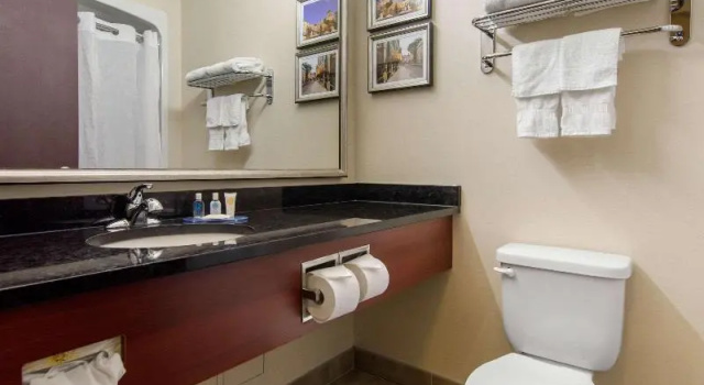 Люкс Standard Comfort Inn & Suites