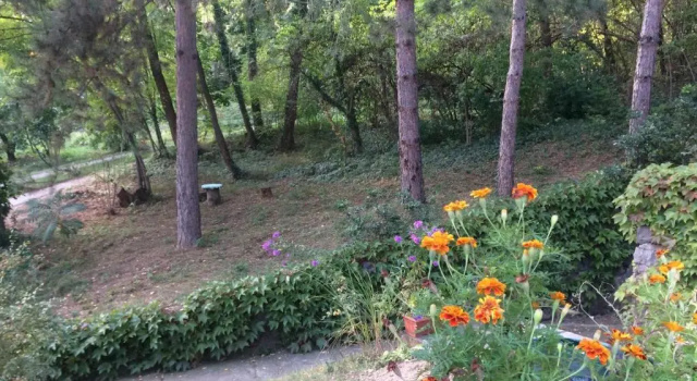 Коттедж Holiday Home Nanin Konak