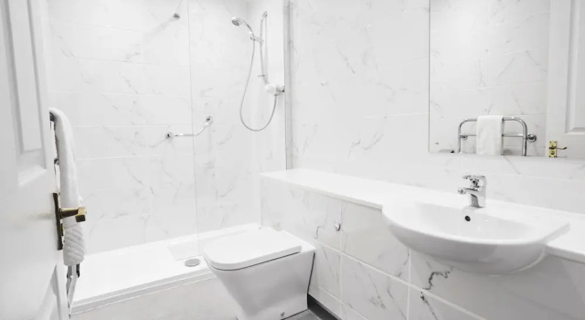 Deluxe dublă cameră cu vedere la canal The Falcon Hotel